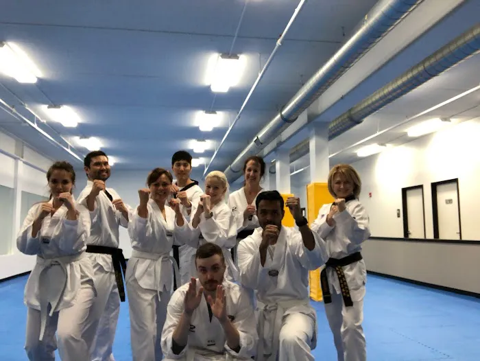 Korea's Finest Taekwondo Academy Picture 4