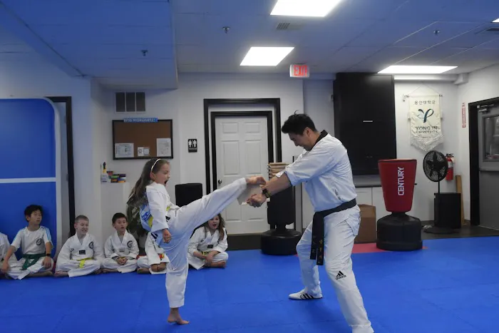 Korea's Finest Taekwondo Academy Picture 8