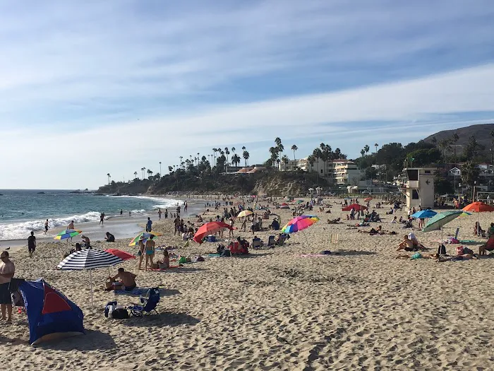 Northeast Family Martial Arts Picture 7