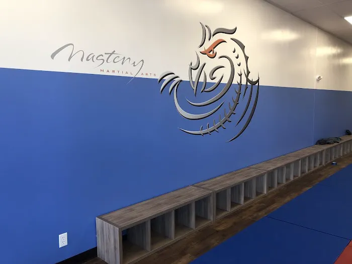 Mastery Martial Arts Picture 5