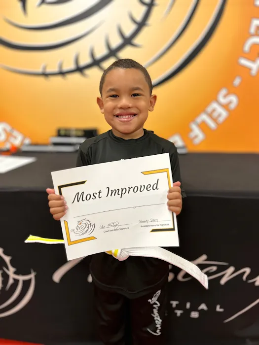 Mastery Martial Arts Picture 7