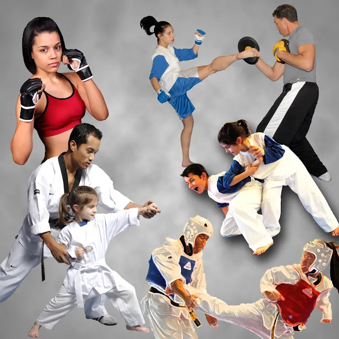 Chea's Martial Arts Picture 1