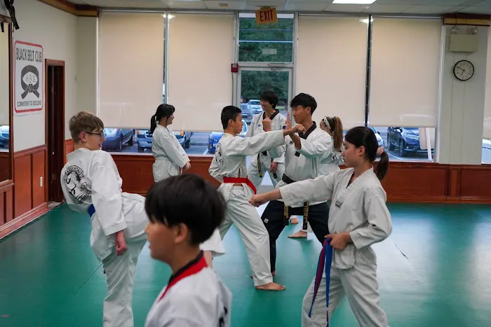Hong's World Class Taekwondo Center Picture 8
