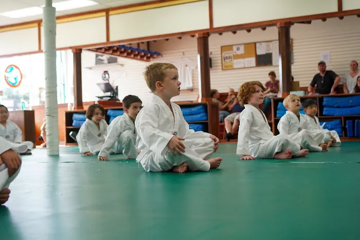 Hong's World Class Taekwondo Center Picture 7