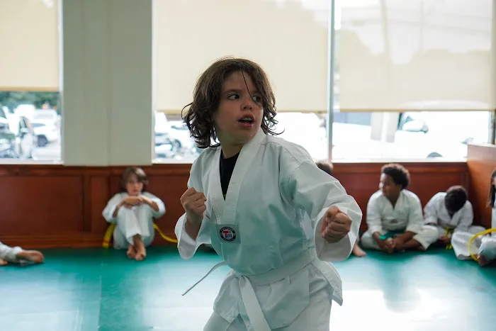 Hong's World Class Taekwondo Center Picture 6