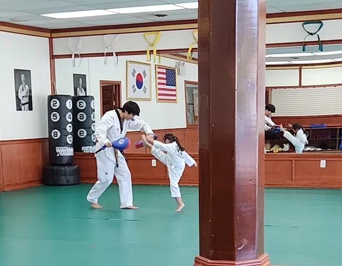 Hong's World Class Taekwondo Center Picture 5