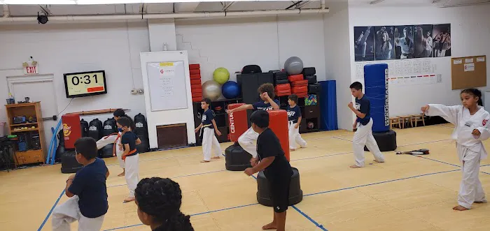 The System Martial Arts and Fitness Picture 3