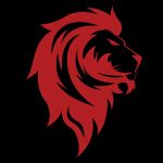 The System Martial Arts and Fitness