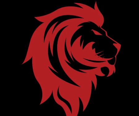 The System Martial Arts and Fitness