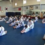 Yong Sung Lee Hapmudo Martial Arts Studio