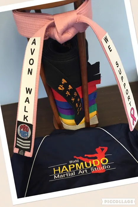 Yong Sung Lee Hapmudo Martial Arts Studio Picture 8