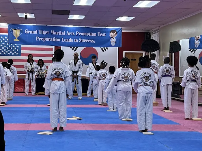 Grand Tiger Martial Arts Picture 2