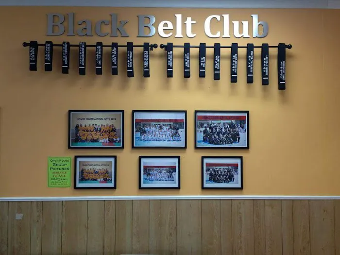 Grand Tiger Martial Arts Picture 5