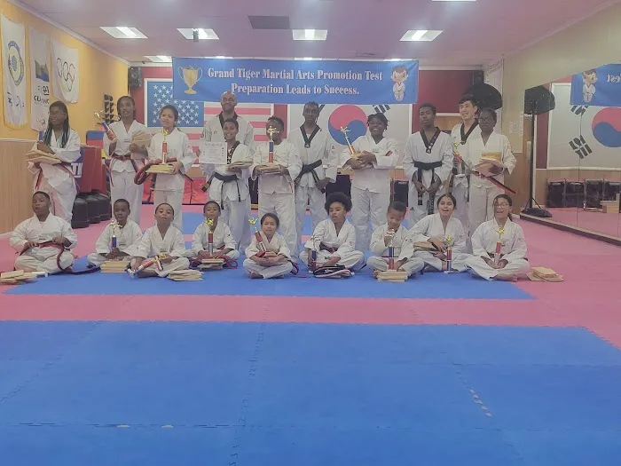 Grand Tiger Martial Arts Picture 8