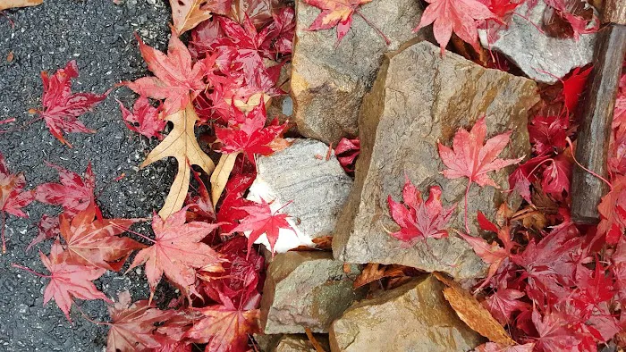 Black Belt School of Martial Arts Picture 1