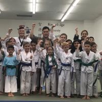 Taekwondo Masters ico