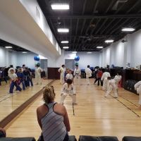 DC Self Defense Karate Assn. ico