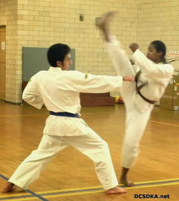 DC Self Defense Karate Assn. Picture 7