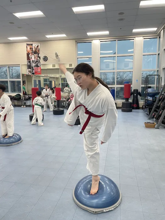 Malakoff Martial Arts Picture 10