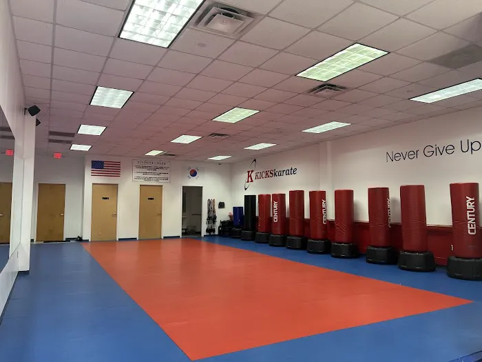 Kicks Karate - Bethesda Old Georgetown Picture 3
