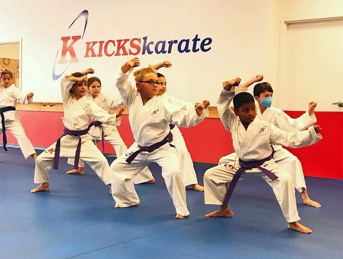 Kicks Karate - Bethesda Old Georgetown Picture 4
