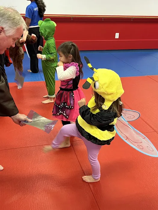 Kicks Karate - Bethesda Old Georgetown Picture 5