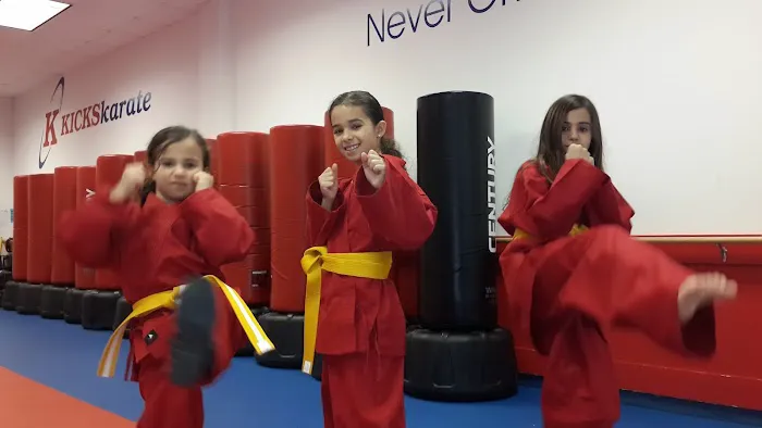 Kicks Karate - Bethesda Old Georgetown Picture 7