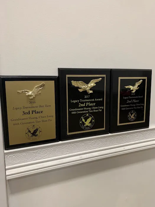 Iron Fist Chinese Martial Arts & Fitness Picture 1