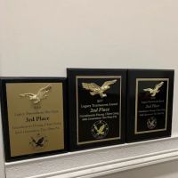 Iron Fist Chinese Martial Arts & Fitness ico