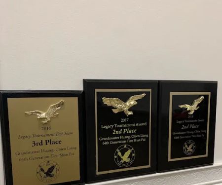 Iron Fist Chinese Martial Arts & Fitness