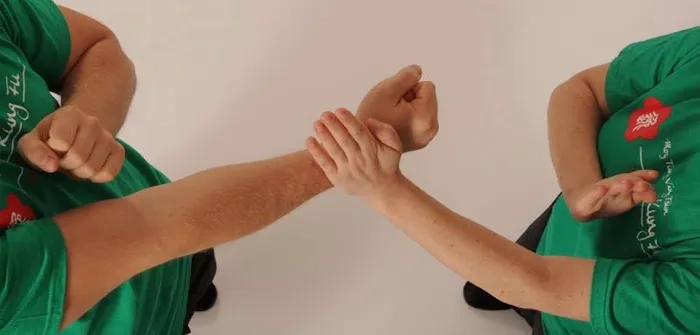 Montgomery County Kung Fu Picture 6