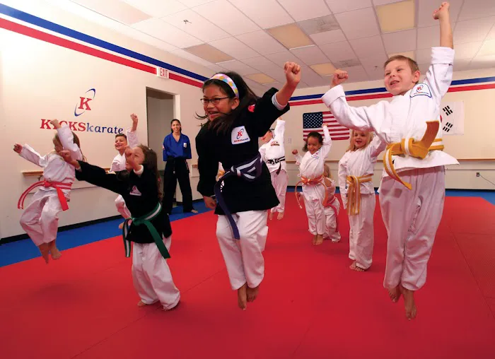Kicks Karate - North Potomac Picture 3