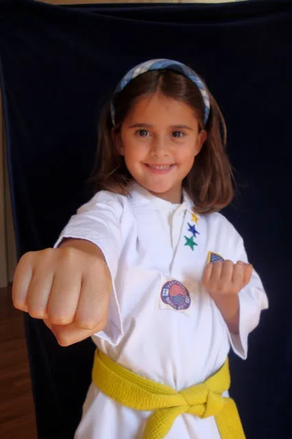 East West Tae Kwon Do Picture 6