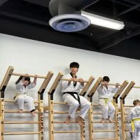 Bethesda Martial Arts ico