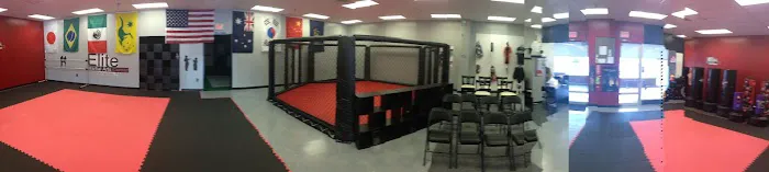 Elite Martial Arts Center Picture 4