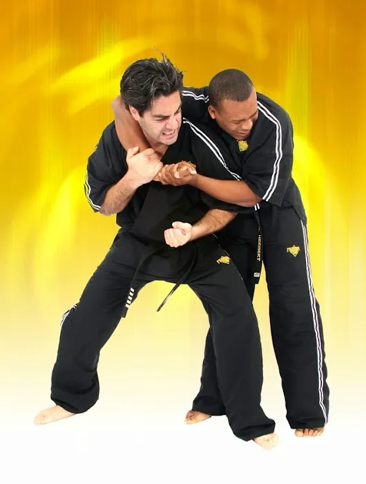 Premier Martial Arts Picture 1