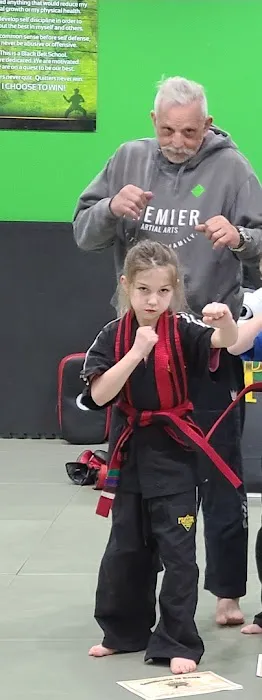 Premier Martial Arts Picture 7