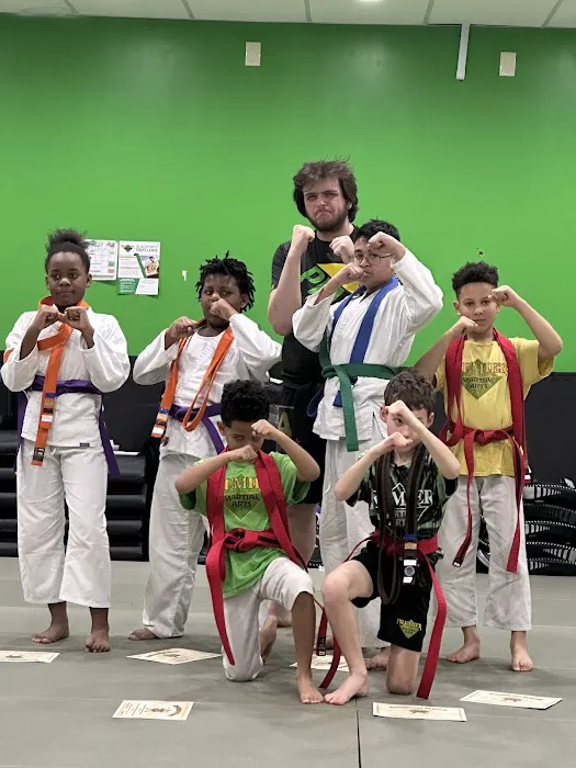 Premier Martial Arts Picture 4