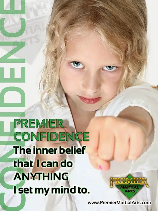 Premier Martial Arts Picture 9