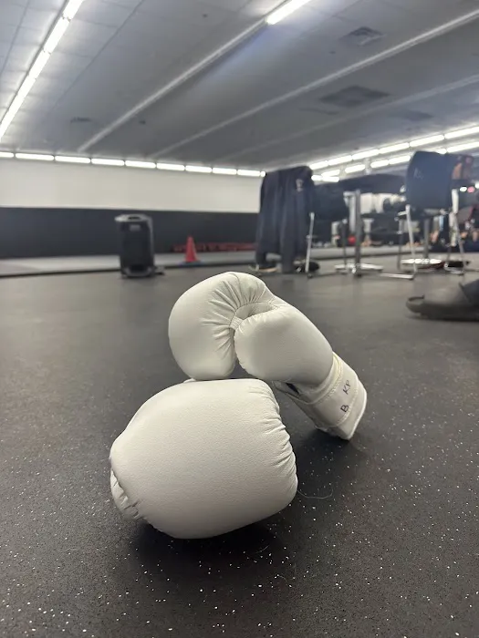 Integrated Martial Arts Picture 5