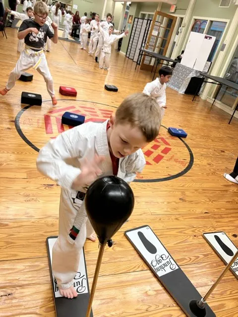 MJA Martial Arts Picture 5