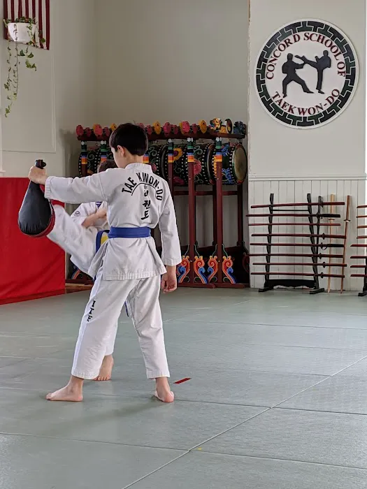Concord School of Taekwon-Do Picture 3
