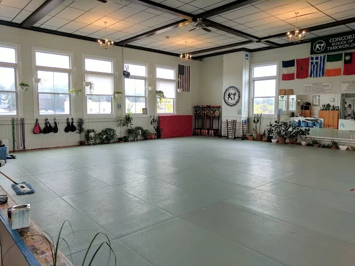 Concord School of Taekwon-Do Picture 2