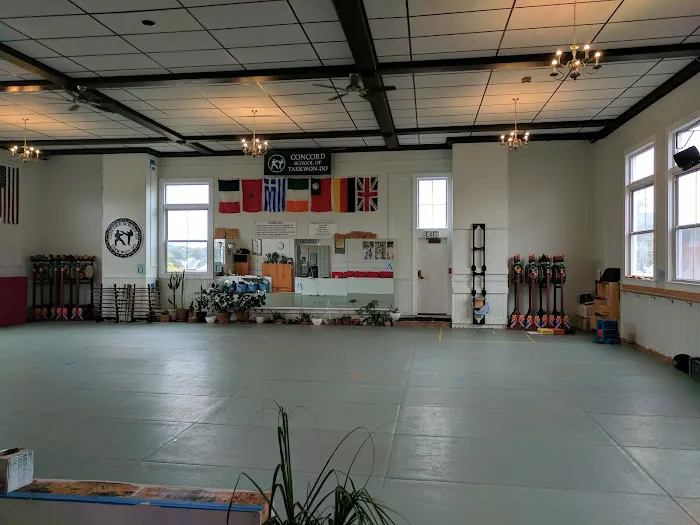 Concord School of Taekwon-Do Picture 4