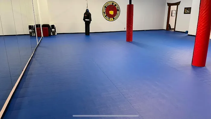 Villari's Self Defense Center Picture 1