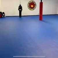 Villari's Self Defense Center ico