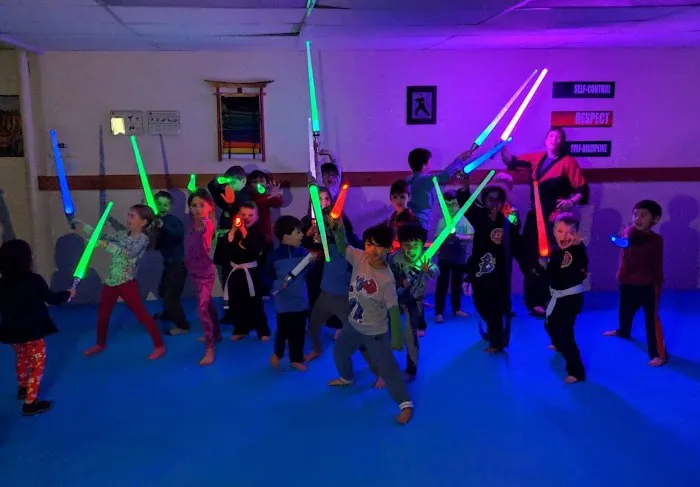 Villari's Self Defense Center Picture 6