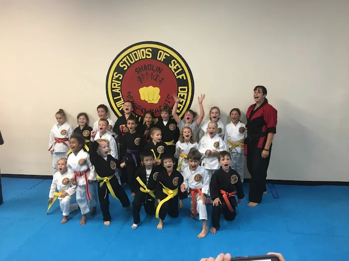 Villari's Self Defense Center Picture 7