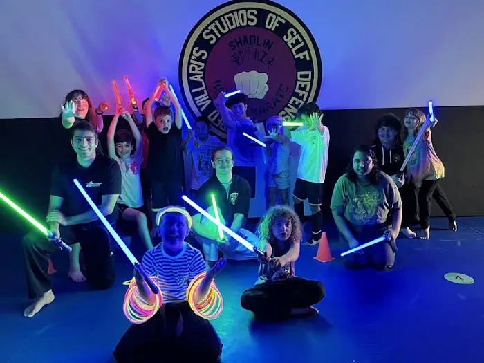 Villari's Self Defense Center Picture 9