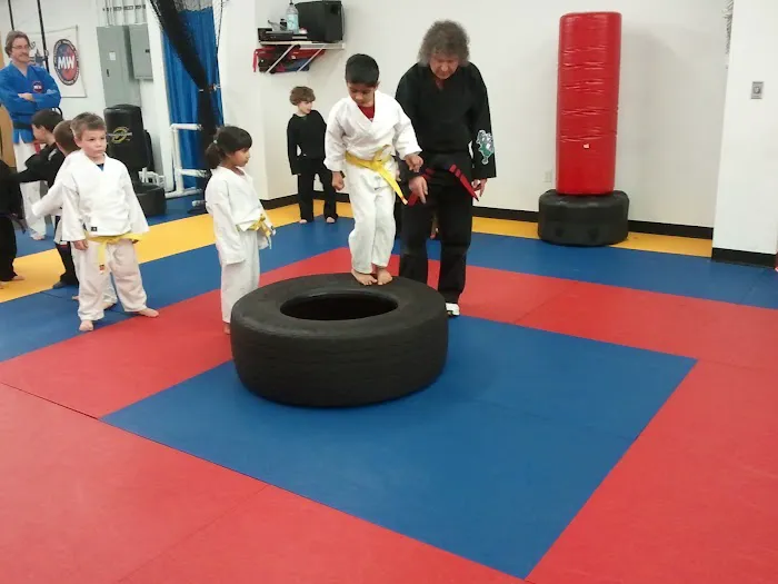Metrowest Martial Arts and Wellness Center Picture 4